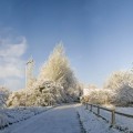 Заснеженная дорога - Snow-covered road