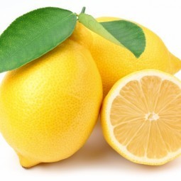 Лимон - Lemon