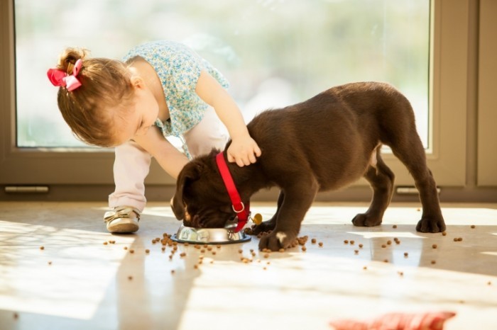 Dollarphotoclub 60950334 700x466 Девочка с собакой   Girl with a dog