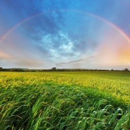 Пейзаж с радугой - Landscape with a Rainbow