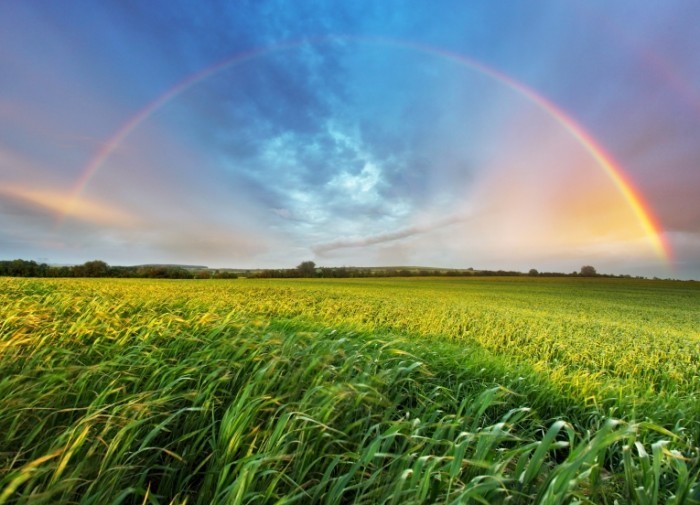 Dollarphotoclub 66581409 700x505 Пейзаж с радугой   Landscape with a Rainbow