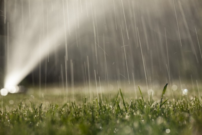 Dollarphotoclub 67132852 700x466 Газон с росой   Lawn with dew