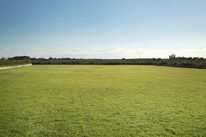 rsz dollarphotoclub 70900117 700x466 Зеленое поле   Green field