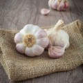 Чеснок - Garlic