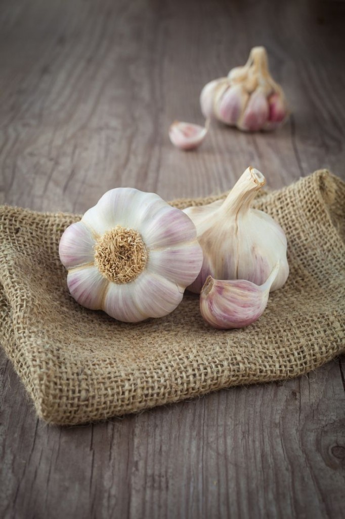 194823bcccf4731ef25116d764ecaf29 682x1024 Чеснок   Garlic