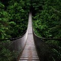 Мост в лесу - Bridge in the forest