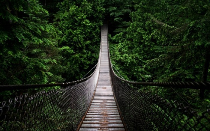 dc27bd88 c81e 4fcc 88db 438edd8e3d55 700x437 Мост в лесу   Bridge in the forest