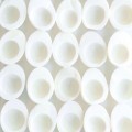 Фон из белых ракушек - Background of white shells