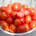 Помидоры - Tomatoes