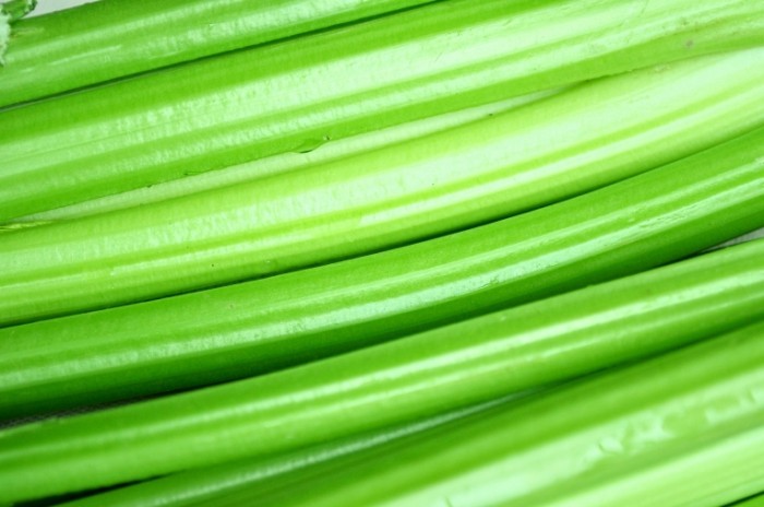 dreamstime l 17774213 700x464 Зеленые стебли   Green stalks