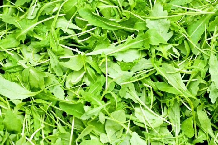 ee arugula freeimage 6177508 high 700x466 Руккола   Arugula 