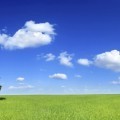 Пейзаж поляна с деревом - Landscape with a tree meadow