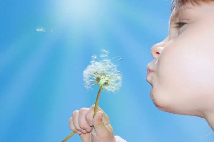 shutterstock 67833388 700x464 Девочка с одуванчиком   Girl with dandelion