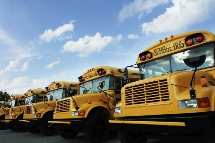 istock schoolbus 700x466 Школьные автобусы   School buses