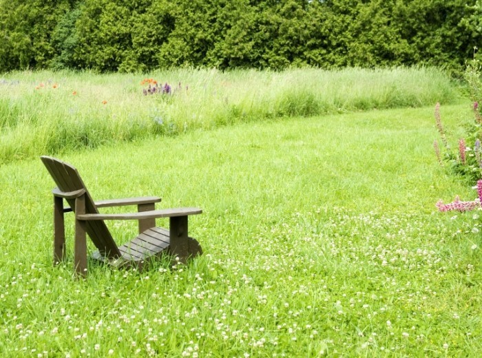 istock 000009750004large 700x520 Стульчик на траве   Chair on the grass