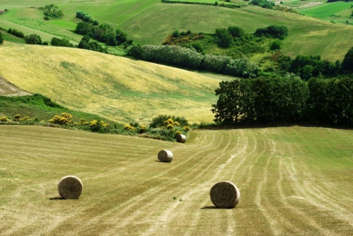 molise country landscape after harvest 700x468 Долина   Valley