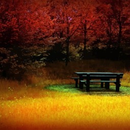 Лавочка осенью - Bench in autumn