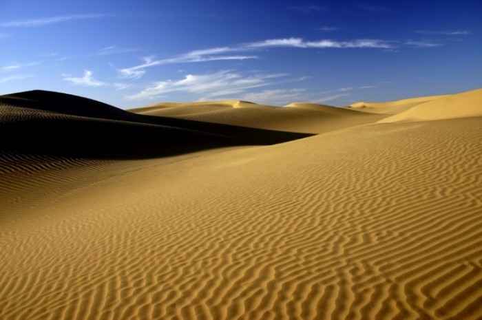 iStock 000003836410Medium 700x465 Пустыня   Desert