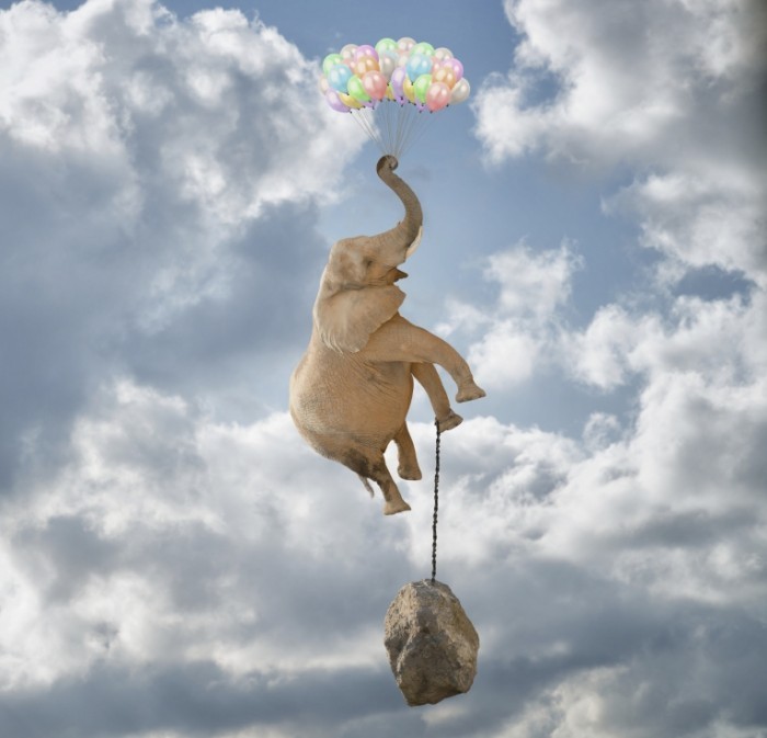 istock elephant balloon float weight1 700x673 Слон с воздушными шарами   Elephant with balloons