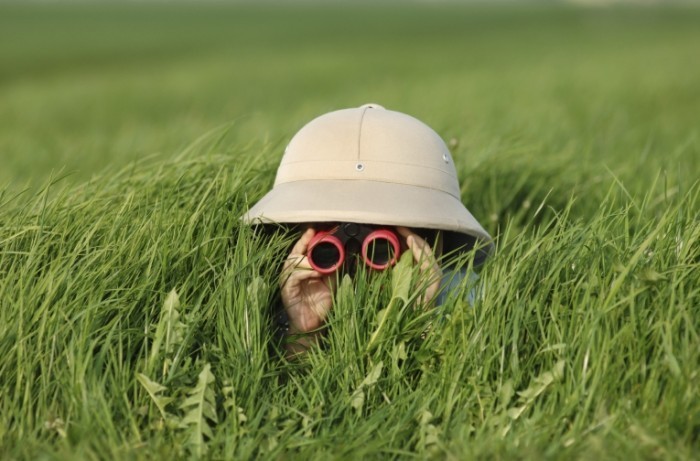 istock 000001571632large 700x461 Девочка с биноклем   Girl with binoculars