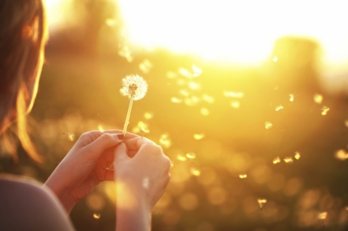 istock 000020196156medium1 700x465 Девушка с одуванчиком   Girl with dandelion