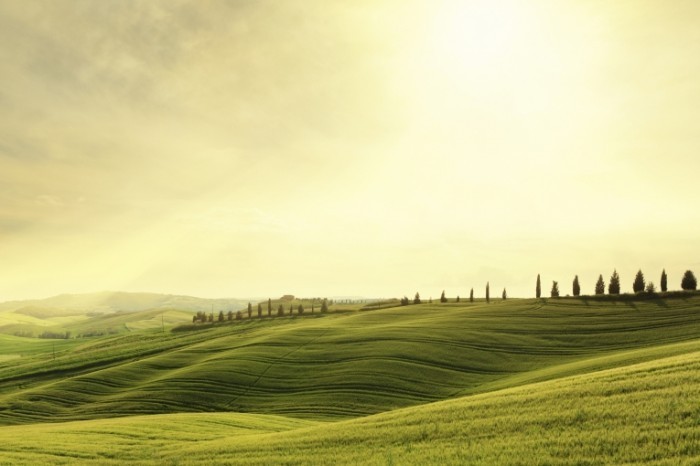 istock 000024510285large green landscape toscany 700x466 Долина   Valley