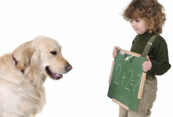 math dog iStock 000005304730Medium 700x475 Мальчик с собакой   Boy with a Dog