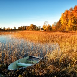 Пейзаж озера - Landscape lake