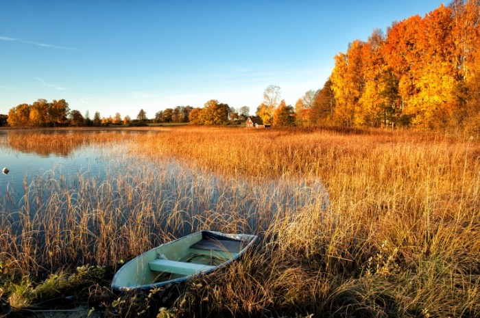 Dollarphotoclub 57637383 700x465 Пейзаж озера   Landscape lake