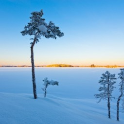 Зима - Winter