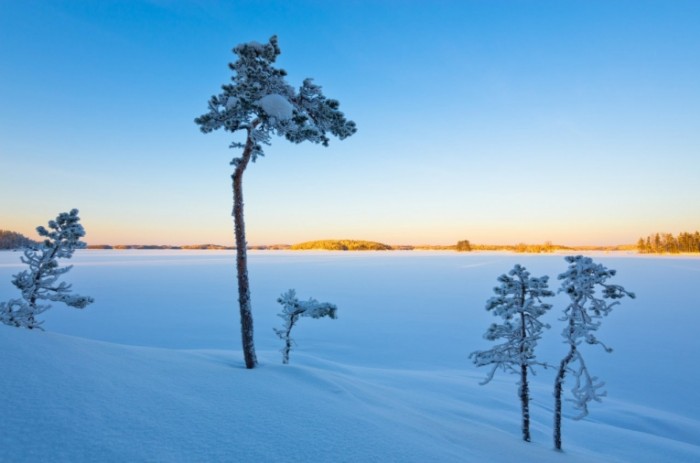 saimaa winter 700x463 Зима   Winter