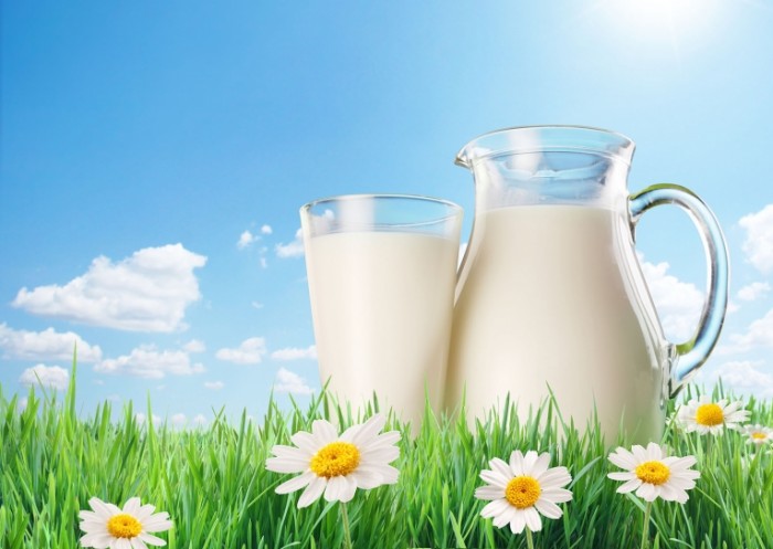 Clover plastic milk recall 700x497 Молоко в графине   Milk in the decanter