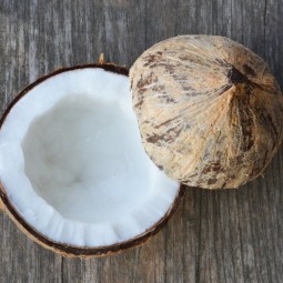 Кокос - Coconut