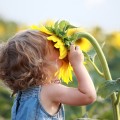 Девочка с подсолнухом - Girl with sunflower