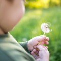 Мальчик с одуванчиком - Boy with dandelion