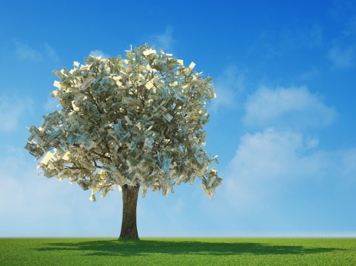 shutterstock 33790039 700x524 Дерево с долларами   Tree with dollars