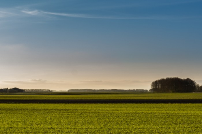 Typical dutch landscape free license CC0 700x465 Зеленый ландшафт   Green landscape