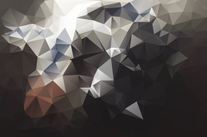 SplitShire lowpoly II 700x466 Абстракция животное   Abstraction animal