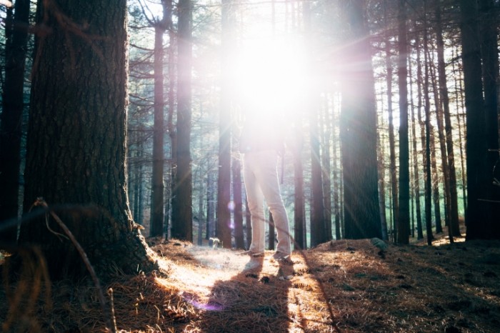 Man Legs Into The Nature 700x466 Мужчина в лесу   Man in the forest