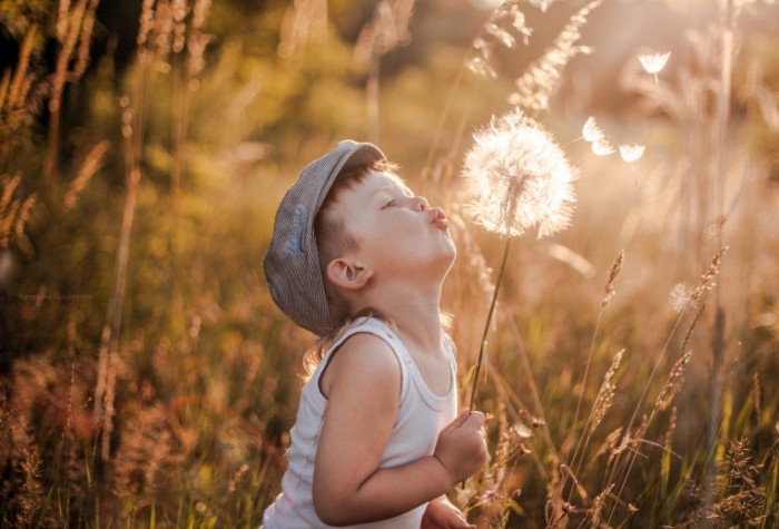 16e240a7b58cd27 700x475 Мальчик с одуванчиком   Boy with dandelion