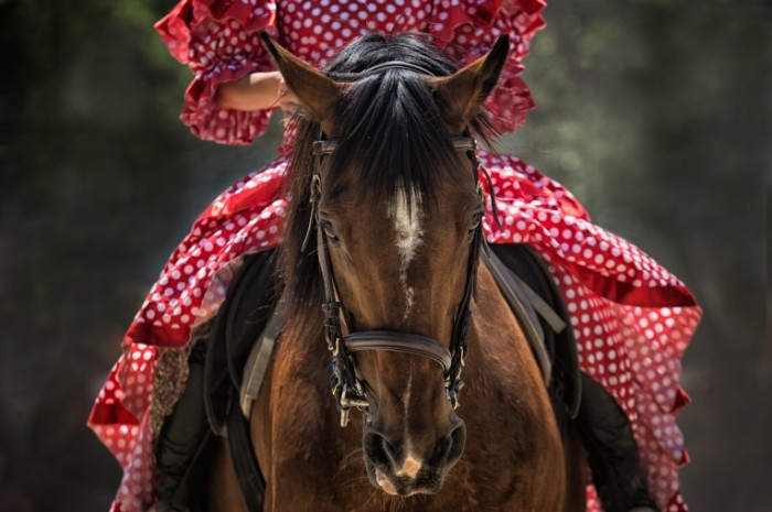 horse 1139142 700x465 Девушка на лошади   Girl on a horse