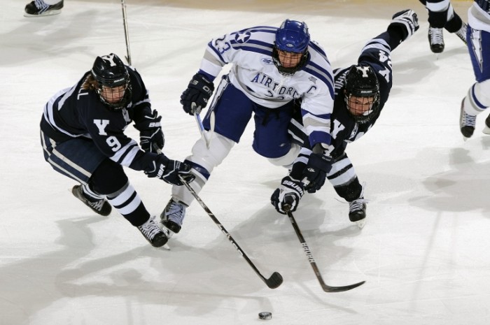 ice hockey 1084197 700x465 Хоккеисты на льду   Hockey players on the ice