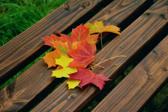 fall foliage 1740841 700x466 Осенние листья на скамье   Autumn leaves on the bench