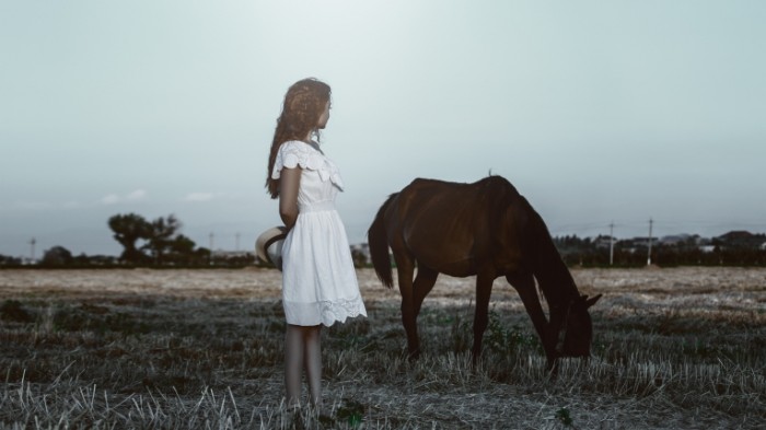 horse 1725253 700x393 Девушка с лошадью   Girl with horse