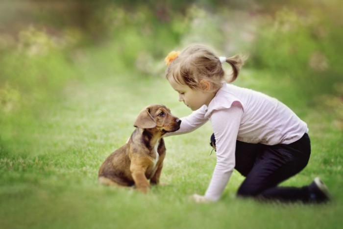 priroda sobaka devocka 700x467 Девочка с щенком   Girl with puppy