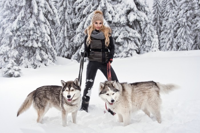 sneg devuska poza blondinka haski poroda sobaki 700x466 Girl with dogs in the winter forest   Девушка с собаками в зимнем лесу