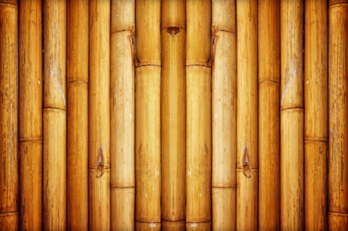 14853415465888836ab207d7.90603015 700x466 Бамбук   Bamboo