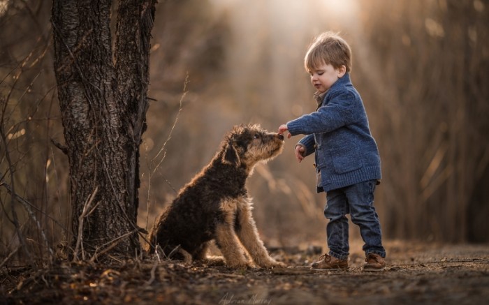 148498731258831bb0b3e609.89239720 700x437 Мальчик с собакой   Boy with a dog