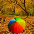 Зонтик в парке - Umbrella in the park