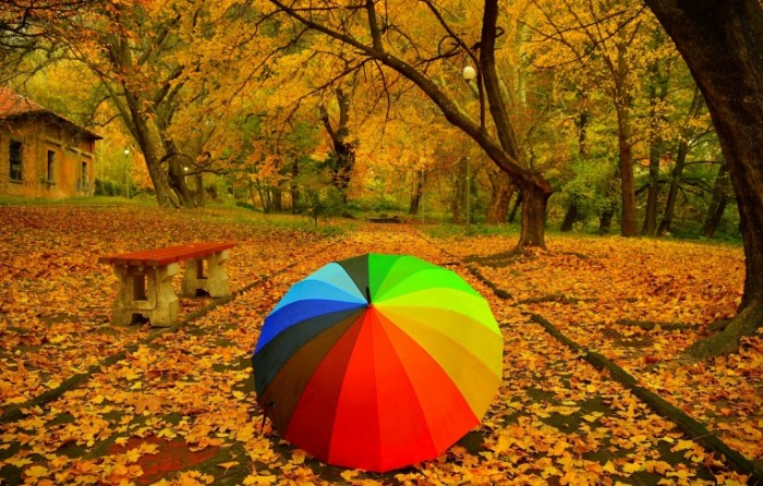 dereva park dorozka listva osen skama zontik listopad trees autumn park 700x446 Зонтик в парке   Umbrella in the park